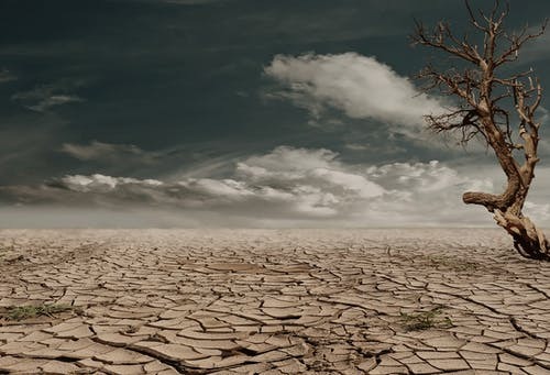 Climate Antagonism - GTS 2021