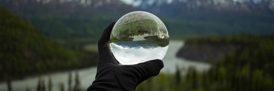 Ipsos | Global Advisor | Predictions