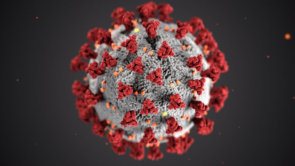 Ipsos | COVID | Coronavirus | Global Advisor