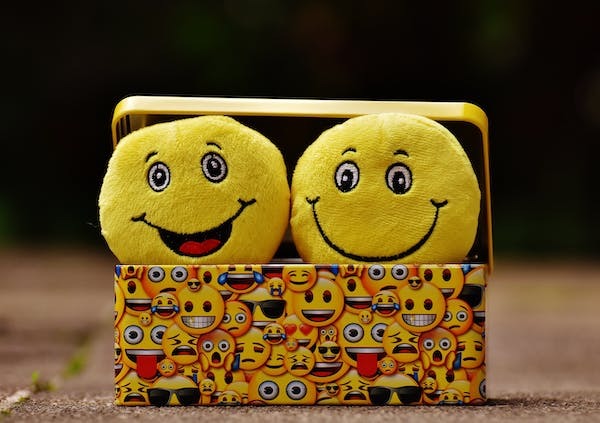 Ipsos IndiaBus Happiness Monitor