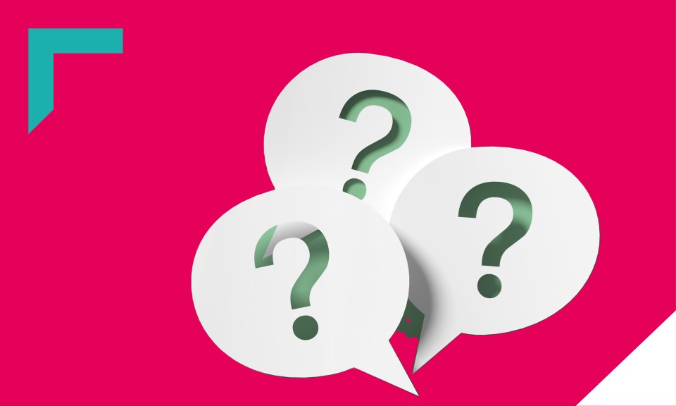 Ipsos | Politische Frage des Monats