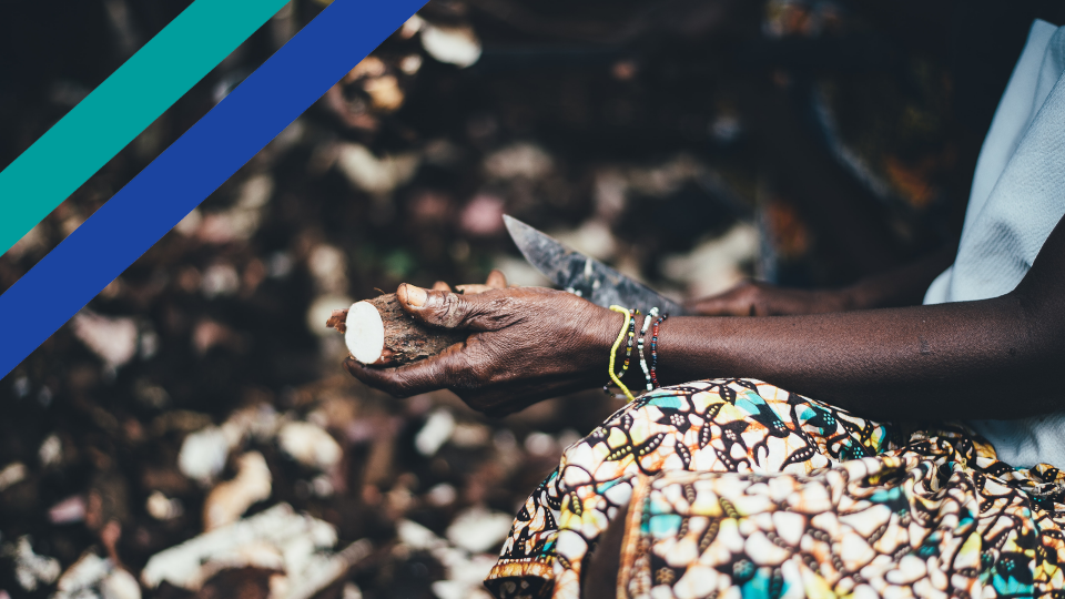 Focus on Africa | Ipsos Update 2021