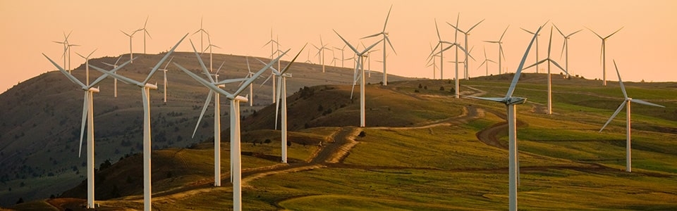 Sustainability | Ipsos