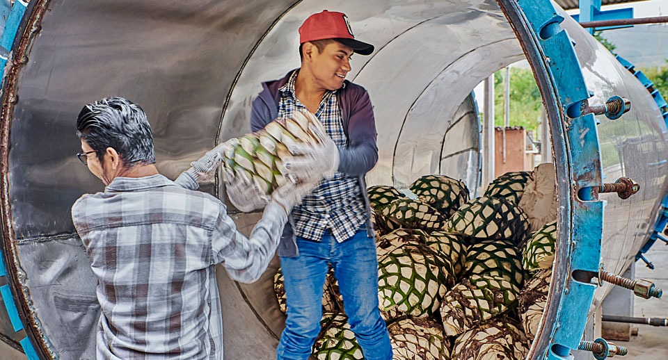 Here’s who people think can solve climate change