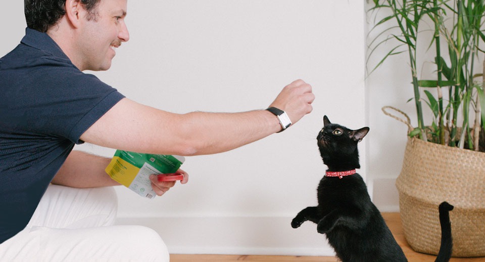 Why paleo for pets is the new sustainability