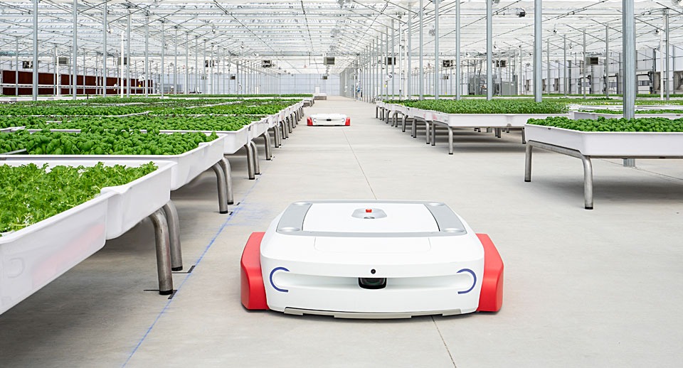 How indoor farms make food more accessible
