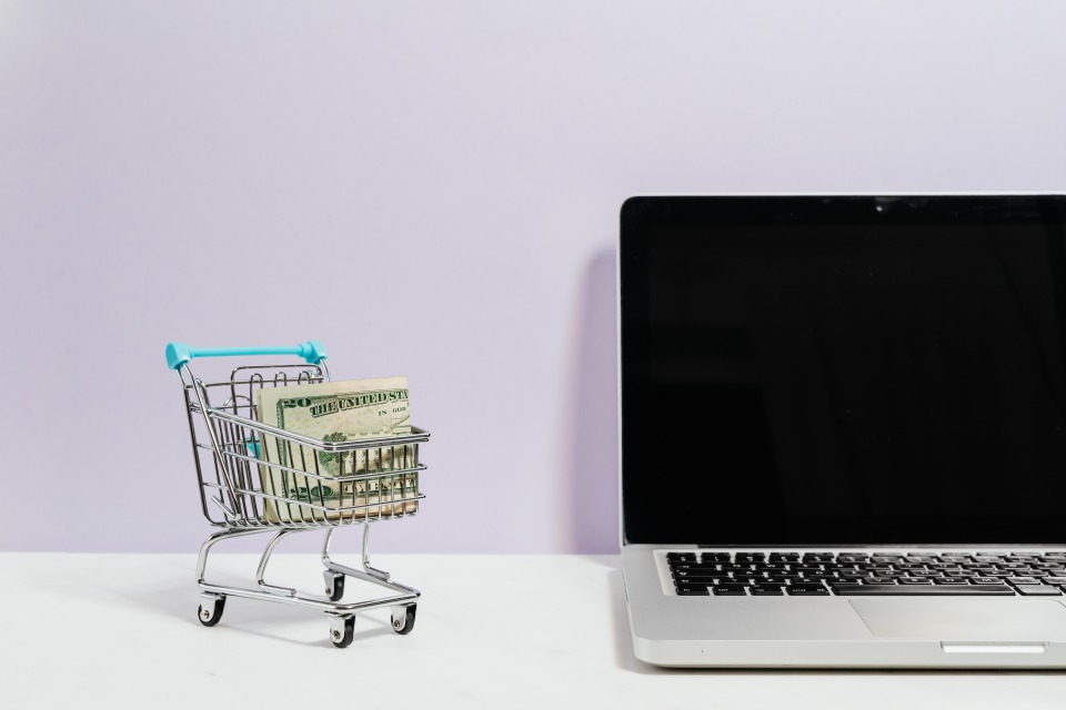 Ipsos | Black Friday | holiday season