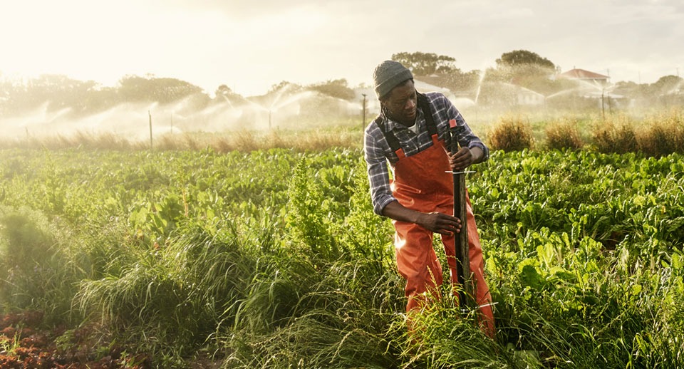 Why saving our water supply must be a priority for everyone