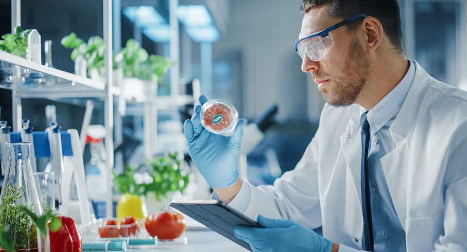 How big food must evolve to feed the world sustainably