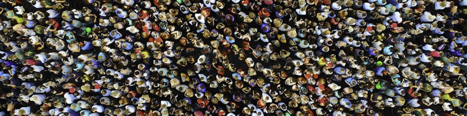 Ipsos | Equality kaleidoscope