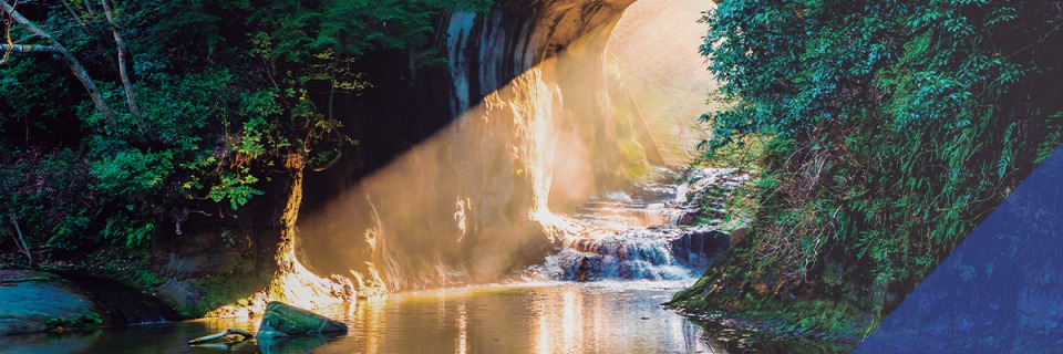 Ipsos | Flair Brazil 2024 | Nostalgia or perspectives