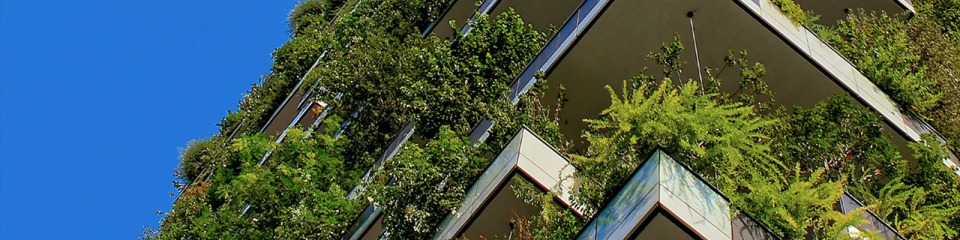 Ipsos | Sustainability