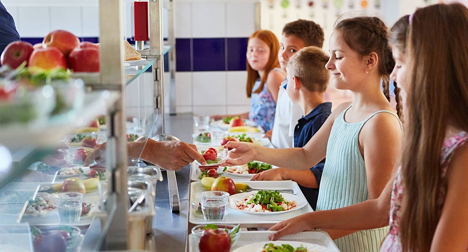 How institutions and policy can lead to healthier, more sustainable food