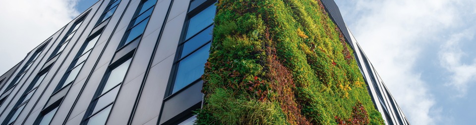 Corporate reputation on the couch:  ESG, polycrisis and polarisation - Ipsos Flair Brazil