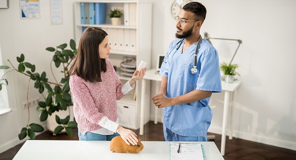 How making pet care more affordable could make people healthier