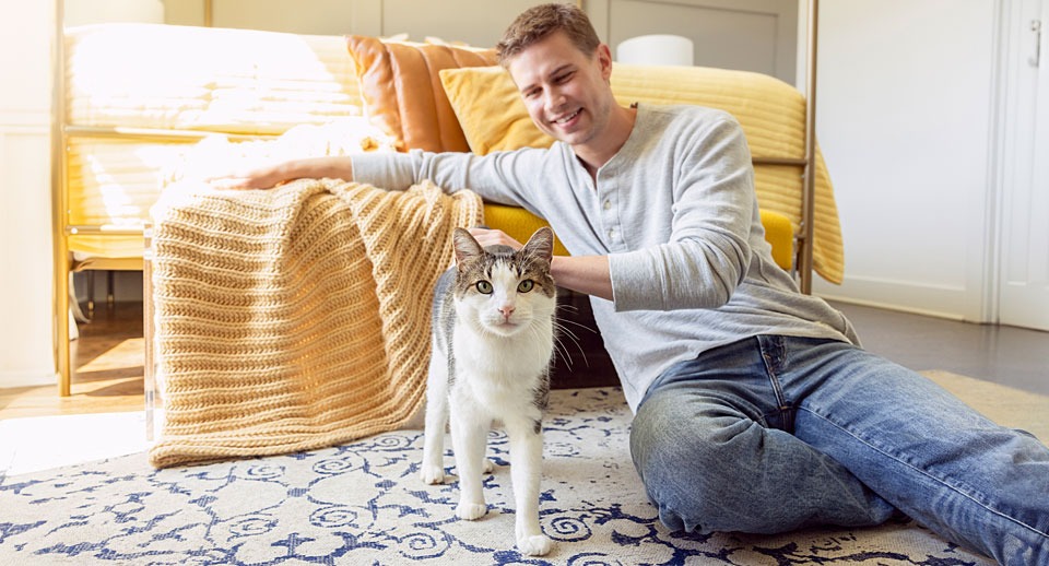 How pet food is evolving to fit modern lifestyles