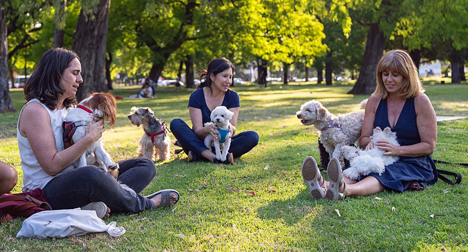 How community panels help brands tap into growing trends