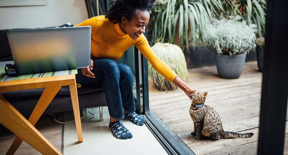 How AI could revolutionize how we connect with and care for our pets