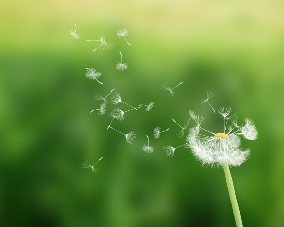 Ipsos und ESG | Ipsos