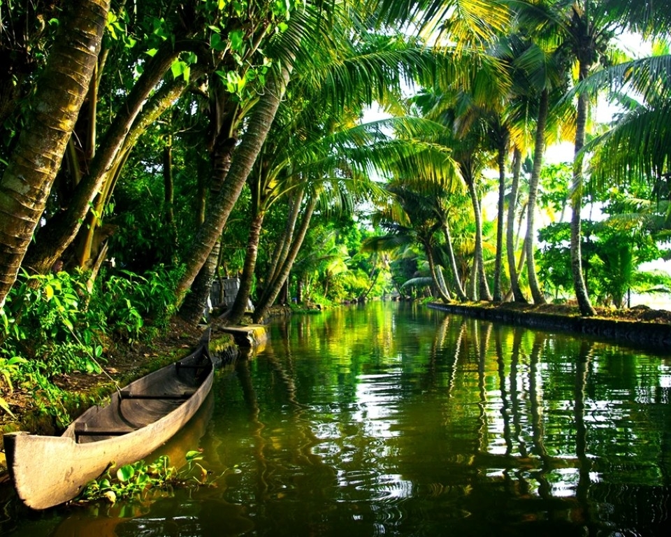 Ipsos Update – August 2025 | Ipsos