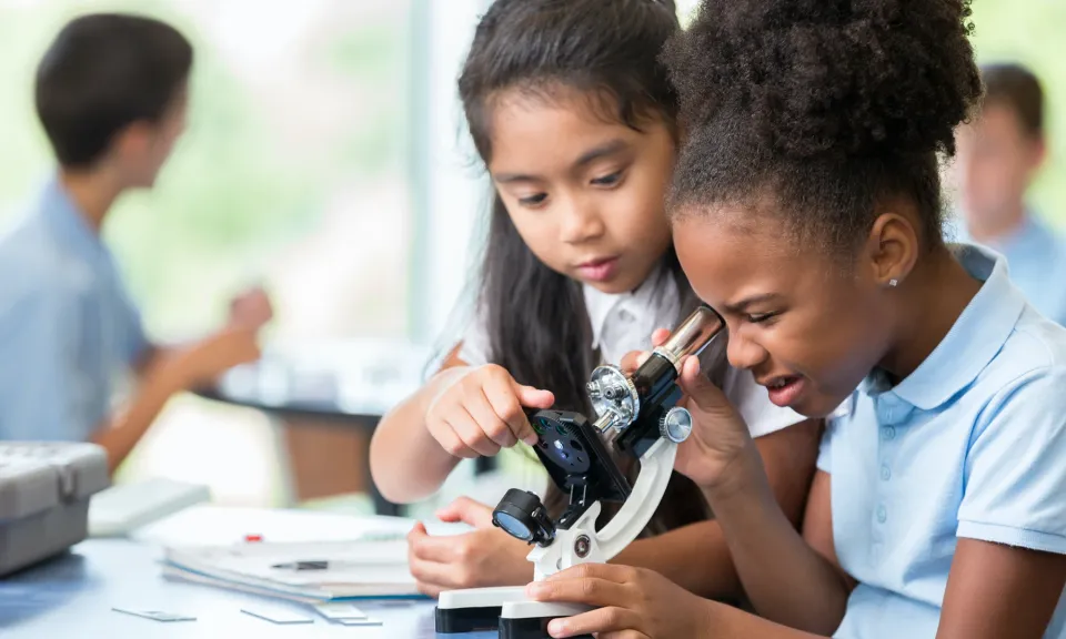 Ipsos NZ - Exploring education, youth wellbeing, and digital life