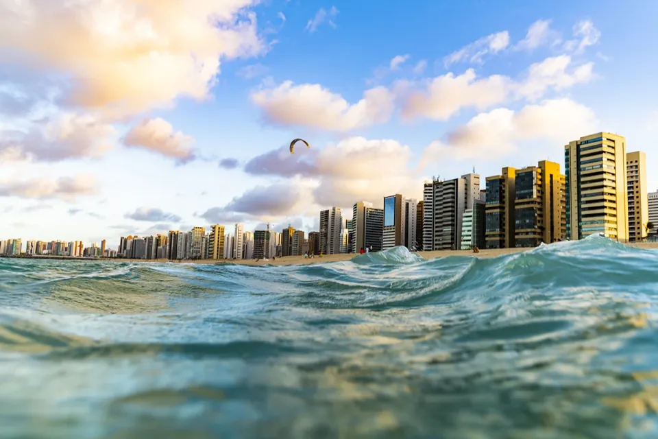 イプソス・アップデート – 2025年12月