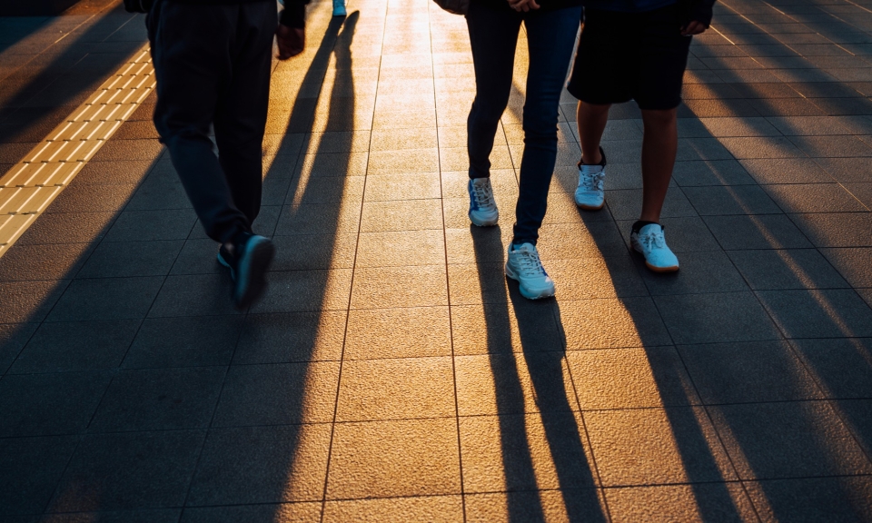 Ipsos Year in Review 2025