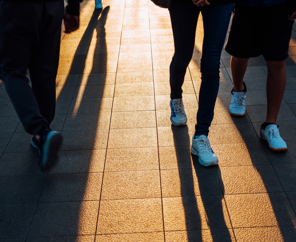 Ipsos Year in Review 2025