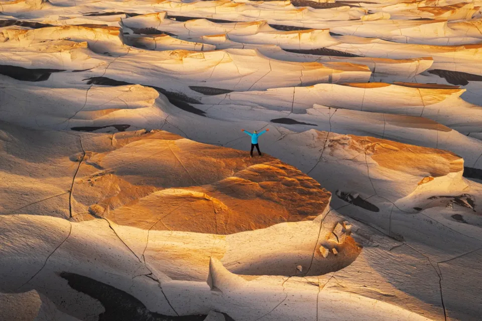 Ipsos Update – January 2026