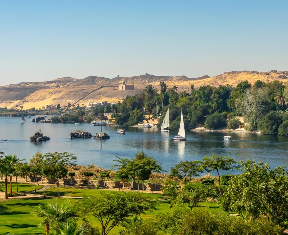 Ipsos update Février 2026