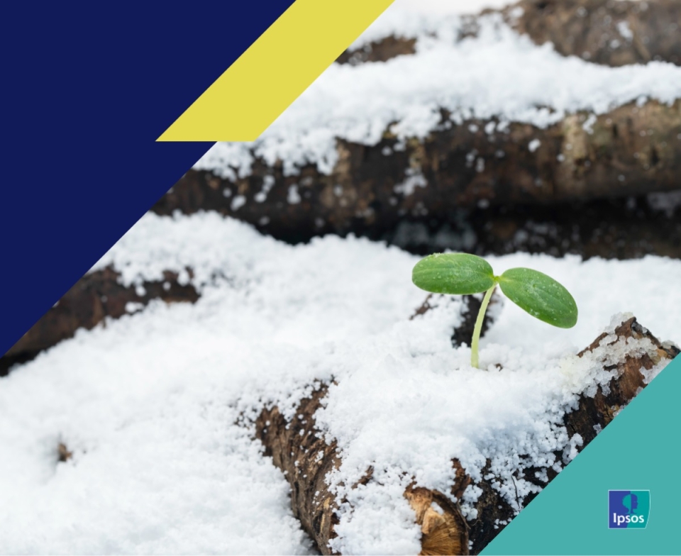 Endurance Economy Insights Hub