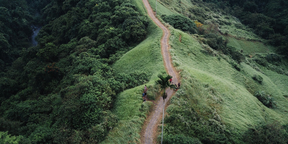Es führt ein Weg über einen Berg mit Wäldern.