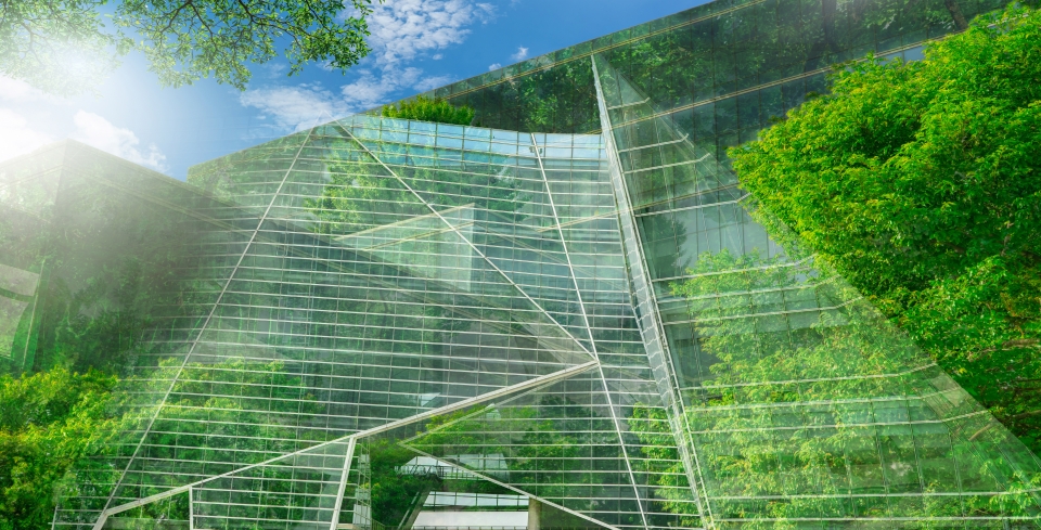 Susainable green building