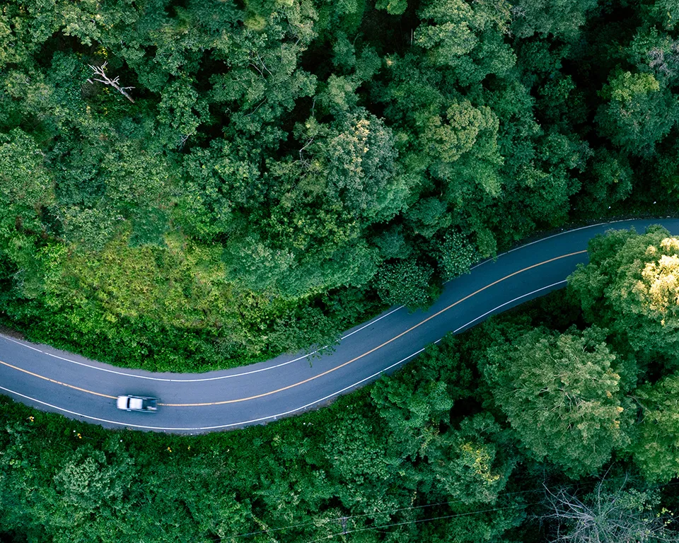 Sind E-Autos umweltfreundlich? Unsere Fakten und Insights Ipsos