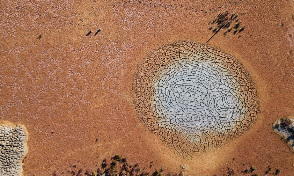 What will be the legacy of the hottest summer on record?