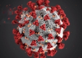 Lessons from the coronavirus crisis | Webinar | Ipsos