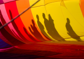  [WEBINAR] Cultural Intelligence