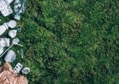 Ipsos | Synthesio | Webinar | Sustainability