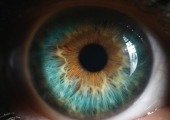  [Webinar] KEYS - The Perils of Perception: Facts vs Fiction?
