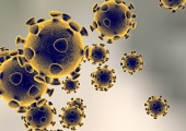Public opinion on the COVID-19 coronavirus pandemic - Ipsos MORI