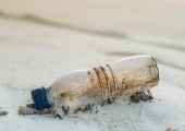 Single-use plastics | Ipsos
