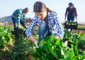 Agriculture en France