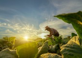 AgriExpress Réussir Ipsos 