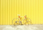 rower