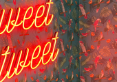 When Social Met Surveys: a conversation with Twitter's Joe Rice