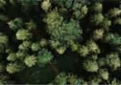 Ipsos | Earth Day | sustainability | climate change
