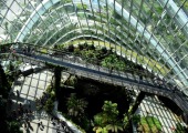 Ipsos | BNP Paribas | Energy transition | Environment | Sustainability
