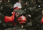 More than 8 million real Christmas trees were sold in 2021