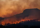 Ipsos | Global Advisor | COP28 | Global warming