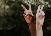 Racism and social media - Ipsos survey